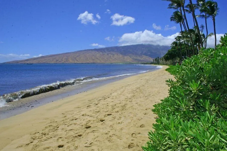 Kihei Beach, #407 Condo 0*,